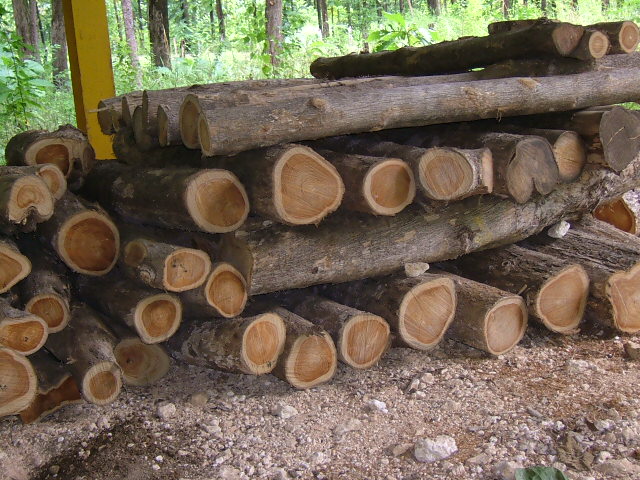 �D����˹�_��Ӯa��ľ �c���ɷŴ�