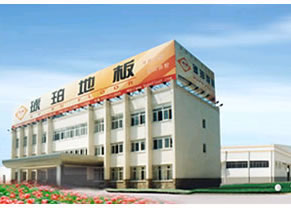 �D����˾���� �c���ɷŴ�