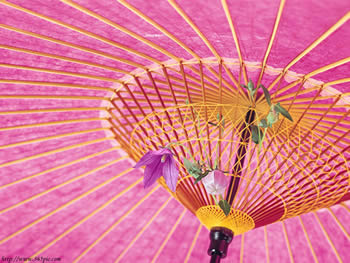 �D������ �c���ɷŴ�