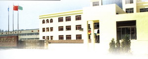 �D��BUILDING �c���ɷŴ�