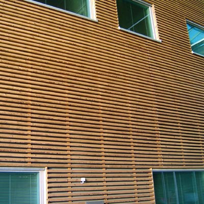 �D��̿��ľ �c���ɷŴ�