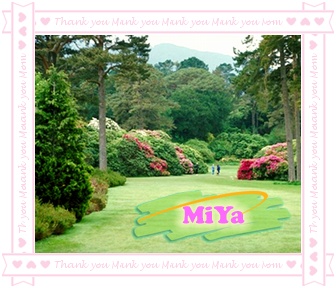 �D������ �c���ɷŴ�