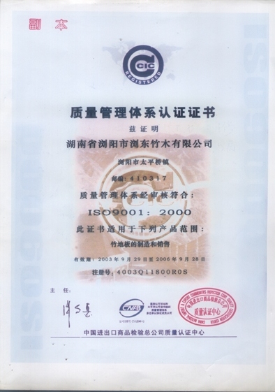 �D��ISO9001 �c���ɷŴ�