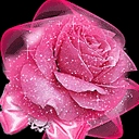 �D����Ƭ �c���ɷŴ�