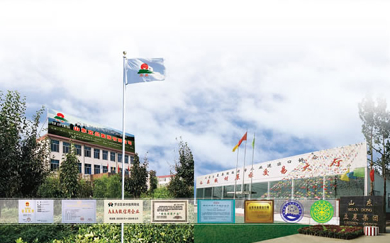 �D����˾�Lò �c���ɷŴ�