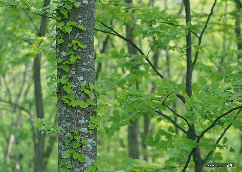 �D����˾ �c���ɷŴ�