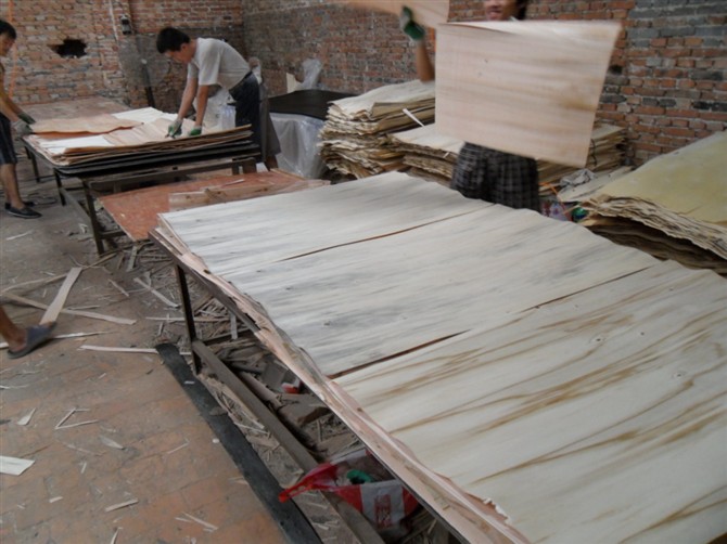 �D���������ڹ��� �c���ɷŴ�