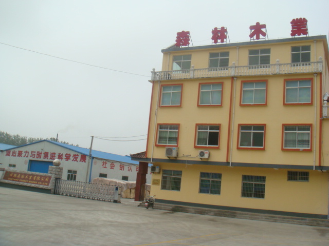 �D�����ɭ��ľ�I(y��)�gӭ�� �c���ɷŴ�