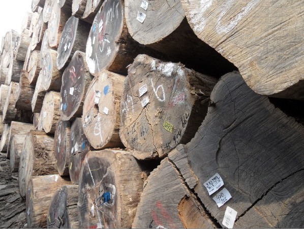 �D���T�� �c���ɷŴ�