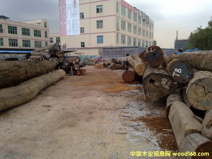 �D���S�^ȫ�� �c���ɷŴ�