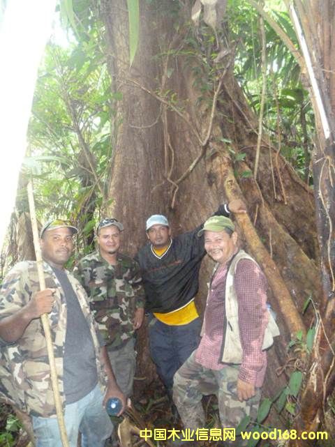 �D������ͬ�� 4 �c���ɷŴ�