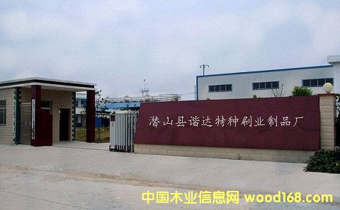 �D����Iչʾ �c���ɷŴ�