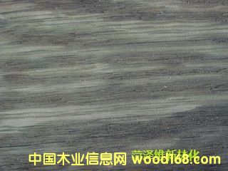 �D����ľ�ذ�������f̎�턩 �c���ɷŴ�