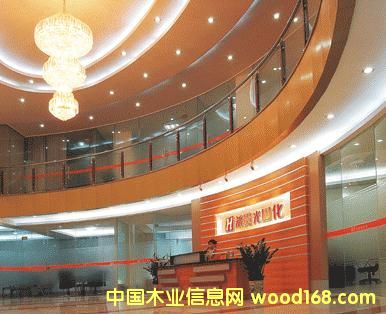 �D����˾1 �c���ɷŴ�