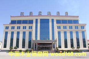 �D����� �c���ɷŴ�