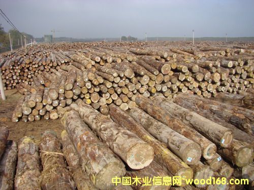 �D���ӹ�ԭ��  ľ��  �c���ɷŴ�