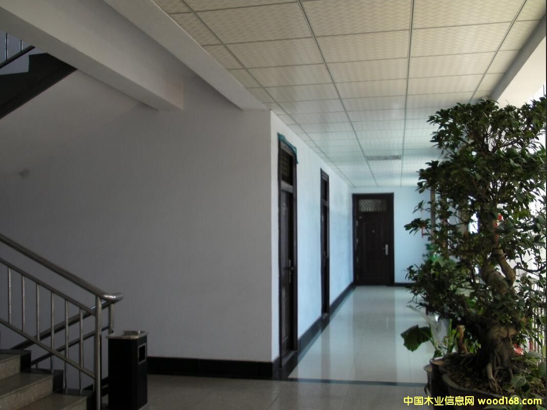 �D���L��5 �c���ɷŴ�