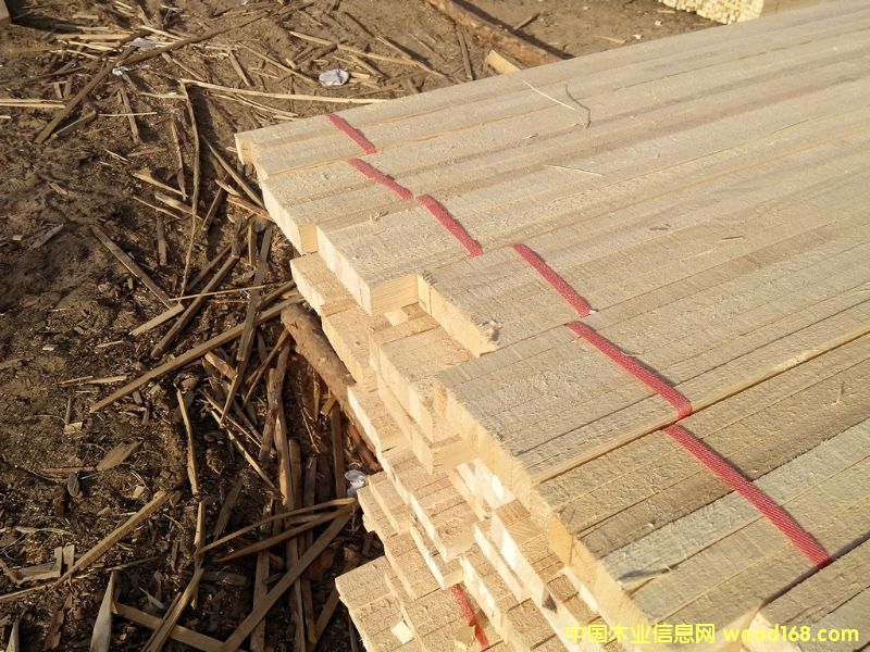 �D�����Ǽ��� �c���ɷŴ�