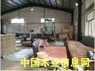 �D�����a���� �c���ɷŴ�