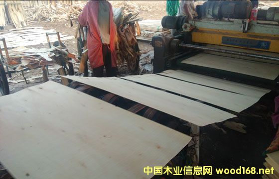 �D�����a�^�� �c���ɷŴ�