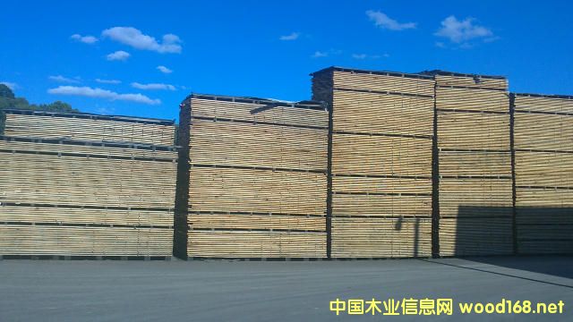 �D���������ѷň� �c���ɷŴ�