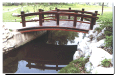 ̿��ľ��Ԕ����B