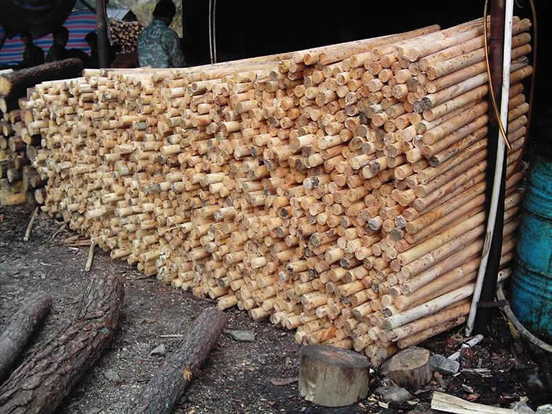 �@ľ����Ԕ����B