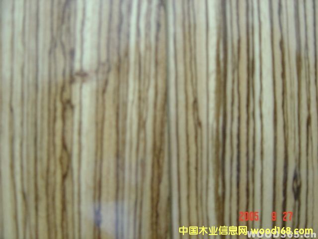 ���R��Ԕ����B