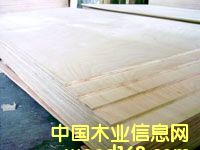 �h���ͼ���ľ�C�ƃ������ɰ��Ԕ����B