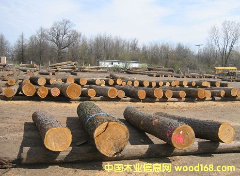 ԭľ��Ԕ��(x��)��B