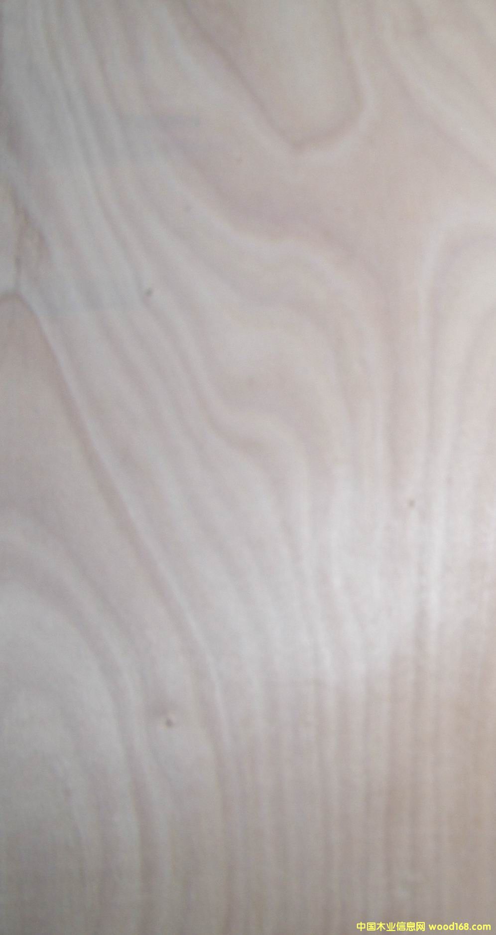 �һ�о3��A���Ԕ����B