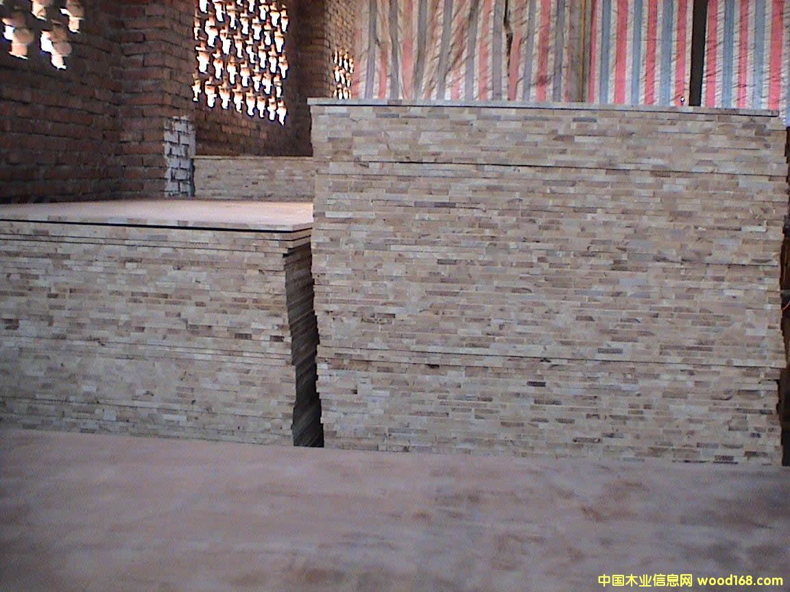 ��(x��)ľ�����Ԕ��(x��)��B