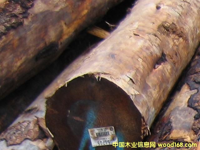 ���ô���ɼԭľ��Ԕ����B