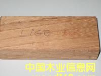 ����-LINGUE/APA��Ԕ����B