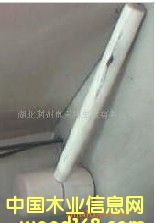 ľ�N��Ԕ����B