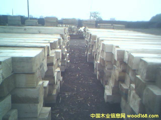 1��Ԕ��(x��)��B