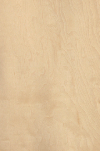 ��Ǘ����Ї�(gu��)Ӳ����ľƤ(ɽ�y)  china maple��C