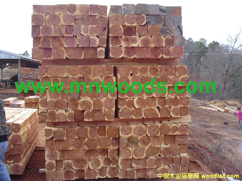 �����������t��ɼ���ĵ�Ԕ����B