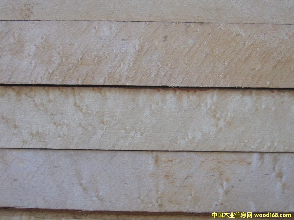 ȸ�ۗ�ľ1��Ԕ����B