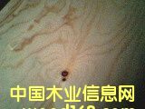 ������B���Ԕ����B