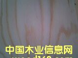 ������A����Ԕ����B