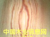 ������A����Ԕ����B