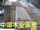 ɼľ�l5��Ԕ����B