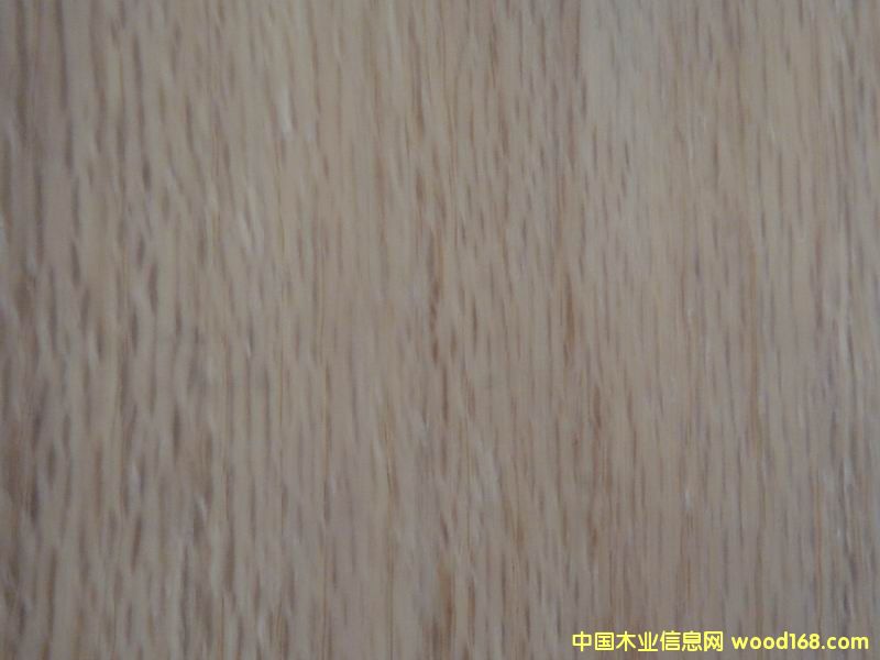 ����ľ��Ԕ��(x��)��B