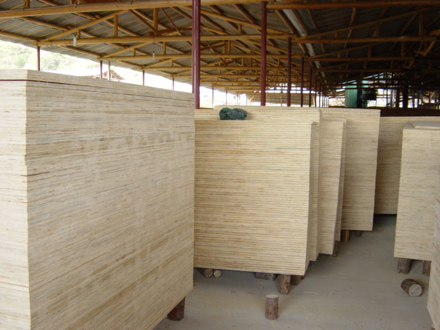 �z�ϰ��Ԕ����B