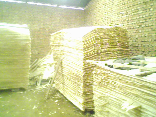 ��ľ���N���eƤ��Ԕ����B