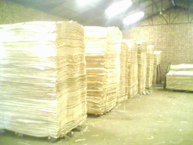 ��ľ���N���eƤ��Ԕ����B