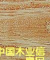 ����鲵�Ԕ����B