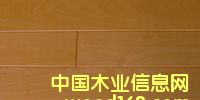 ��̴(���a����Ԕ����B