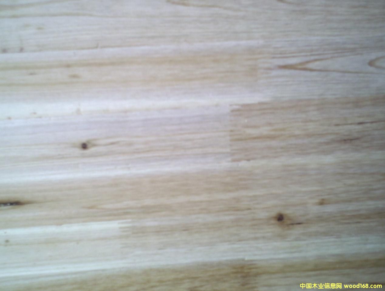 ָ�Ӱ��Ԕ����B